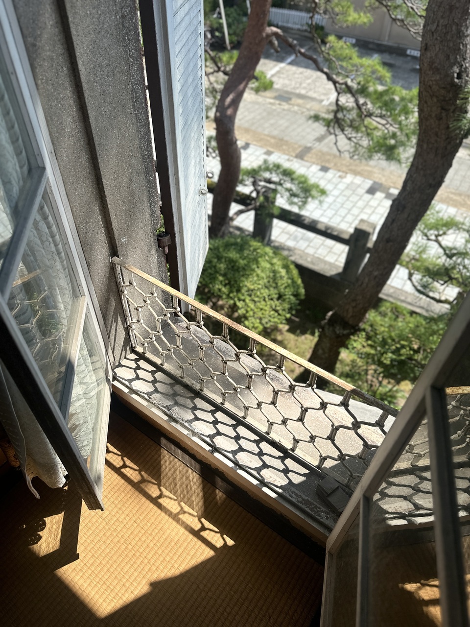 IMG_0877.JPEG