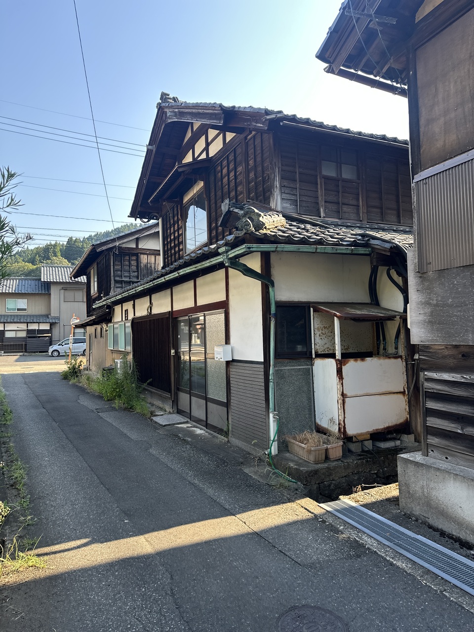 IMG_1398.JPEG